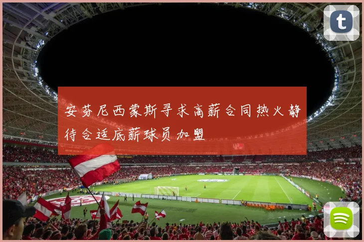 安芬尼西蒙斯寻求高薪合同热火静待合适底薪球员加盟