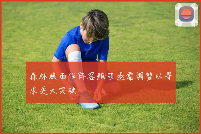 森林狼面临阵容瓶颈亟需调整以寻求更大突破
